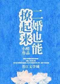 二婚也能撩起来讲的什么故事