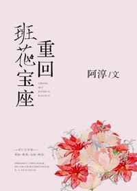 重回班花宝座书