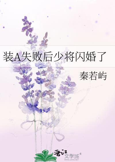装a失败后少将闪婚了百度