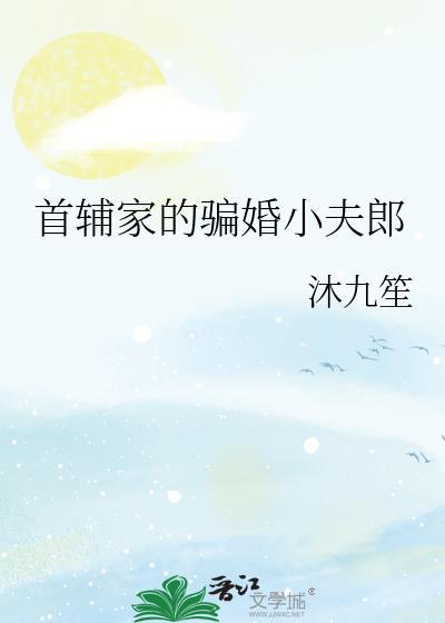 首辅家的骗婚小夫郎免费阅读