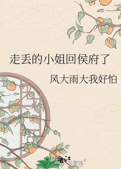 走丢的小少爷之后