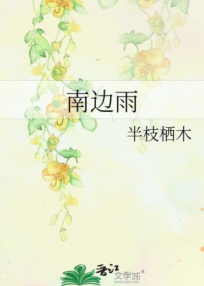 南边雨txt