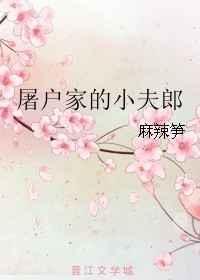 屠户家的小夫郎by麻辣笋
