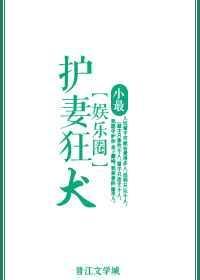 护妻狂魔网剧