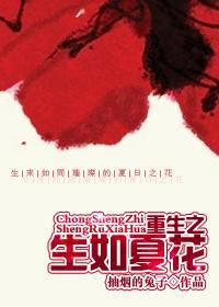 重生之生如夏花讲什么