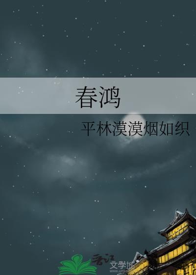 春鸿商贸有限公司