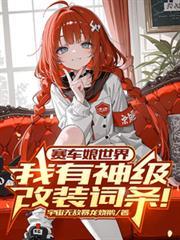 赛车娘世界我有神级改装词条!简介