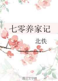 七零养家记txt