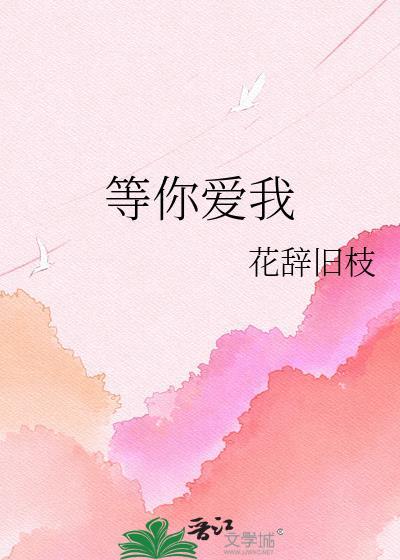 等你爱我电视剧