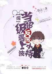 当超级反派遇上小波特无防盗