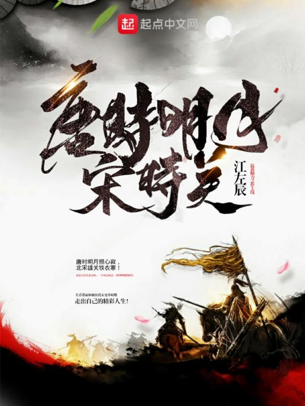 唐时明月宋时关 简介